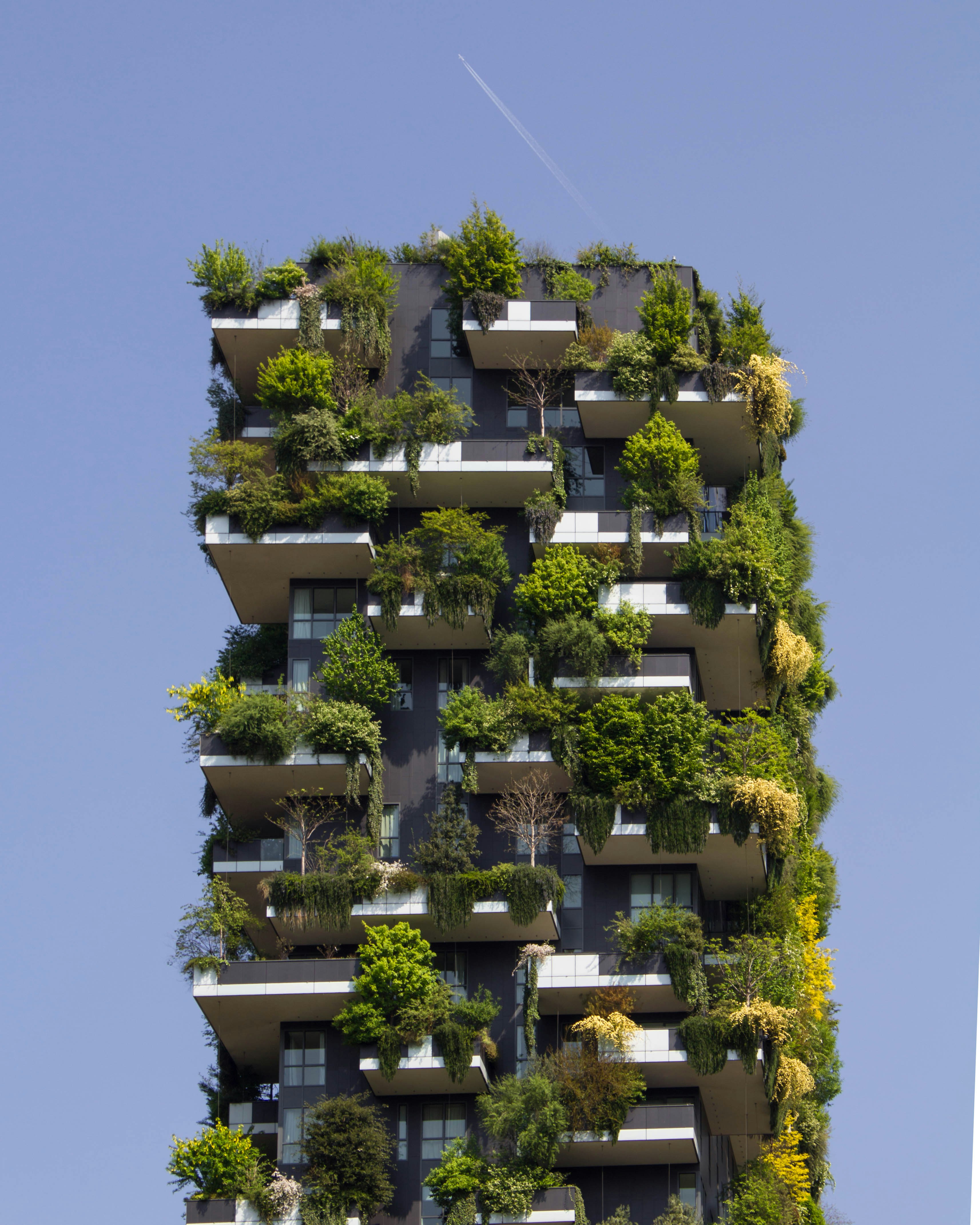 A building integrated with living green infrastructure — the kind of regenerative future Basoro works toward